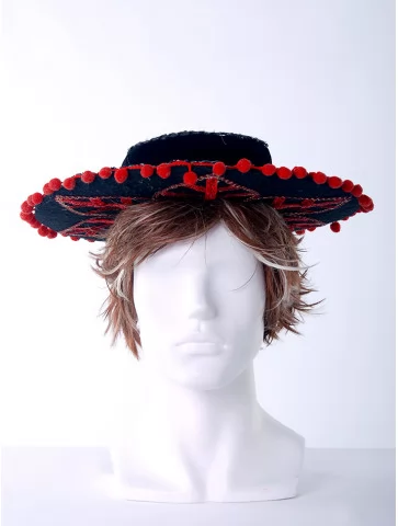 Сомбреро мужское бархат