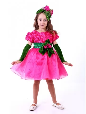 Костюм соковита Малинка