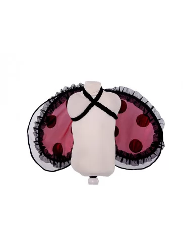 Крылья божья коровка