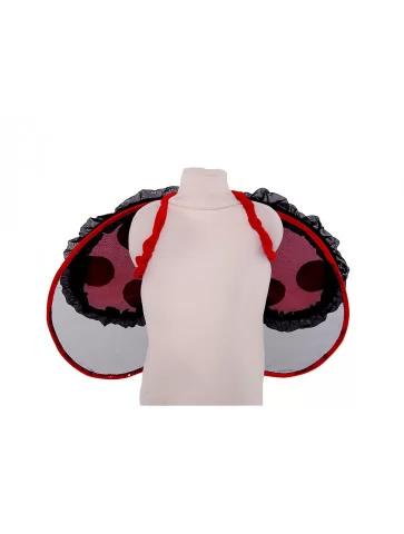 Крылья божья коровка