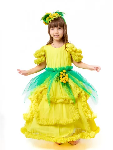 Костюм Сонячної Мімози