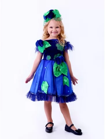 Костюм Соковита Слива